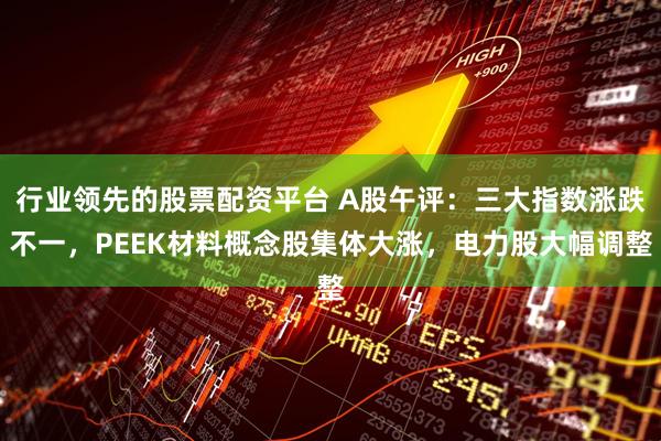 行业领先的股票配资平台 A股午评：三大指数涨跌不一，PEEK材料概念股集体大涨，电力股大幅调整