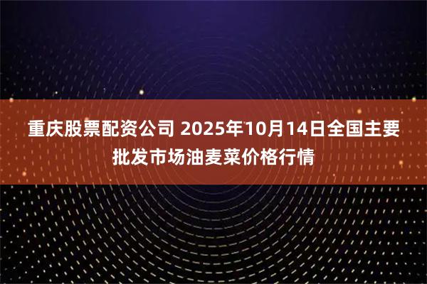 重庆股票配资公司 2025年10月14日全国主要批发市场油麦菜价格行情